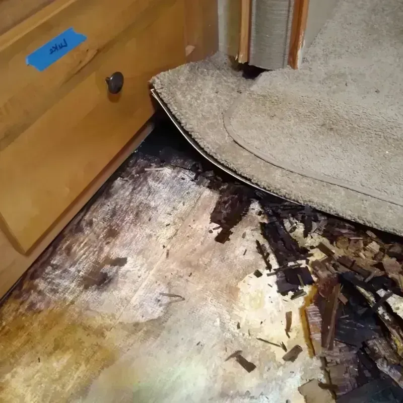 Wood Floor Water Damage in Ballwin, MO